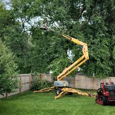 Professional Tree Removal in Saint John Fisher College, NY
