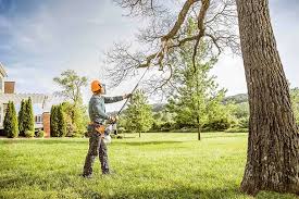 Best Lawn Grading and Leveling  in Saint John Fisher College, NY