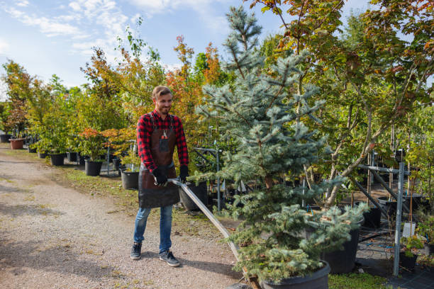 Best Lawn Maintenance Plans  in Saint John Fisher College, NY